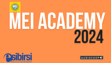 MEI ACADEMY 2024