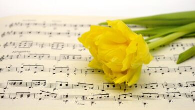 Donne e Musica: Voci di Cambiamento