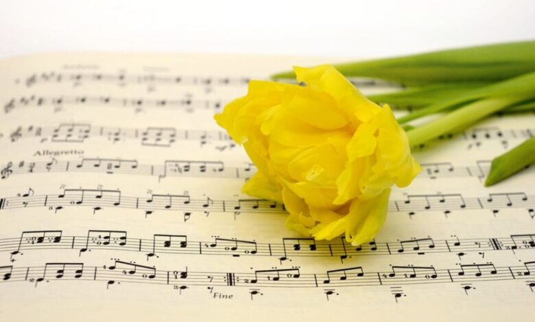 Donne e Musica: Voci di Cambiamento