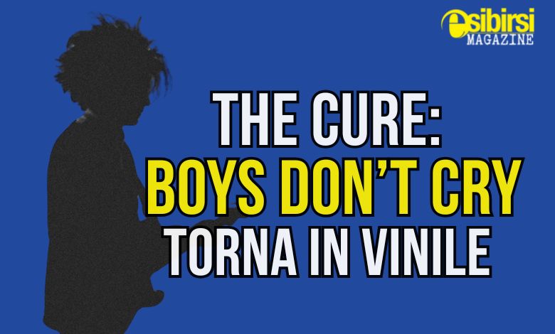 Boys Don't Cry