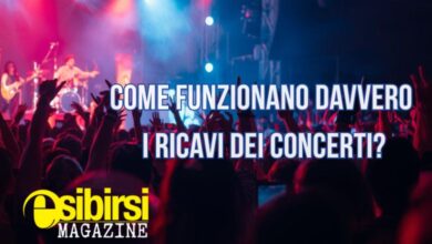 ricavi dei concerti
